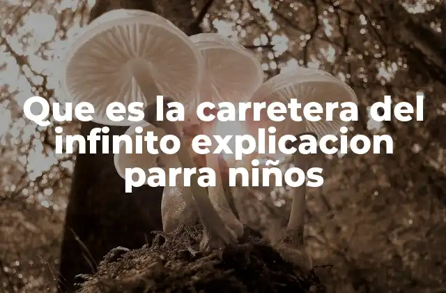 Que es la Carretera Del Infinito Explicacion Parra Niños
