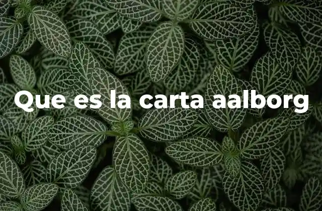 Que es la Carta Aalborg