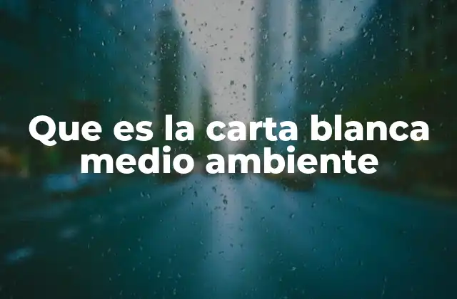 Que es la Carta Blanca Medio Ambiente 2 El compromiso ambiental como herramienta estratégica