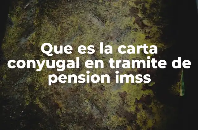 Que es la Carta Conyugal en Tramite de Pension Imss