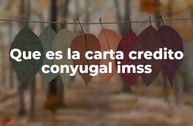 Que es la Carta Credito Conyugal Imss