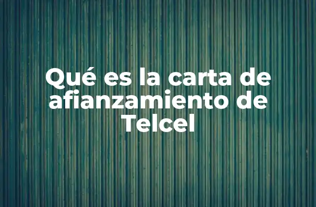Qué es la Carta de Afianzamiento de Telcel 2 La importancia del afianzamiento en telecomunicaciones