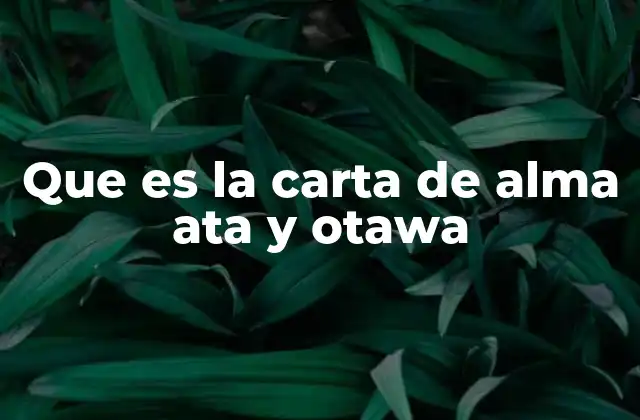 Que es la Carta de Alma Ata y Otawa