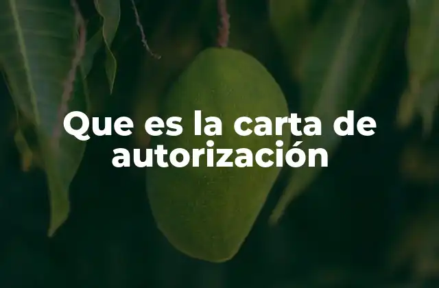 Que es la Carta de Autorización
