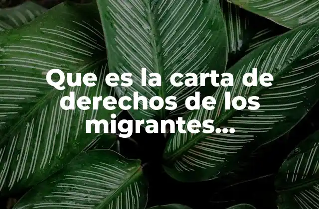 Que es la Carta de Derechos de los Migrantes Internacionales