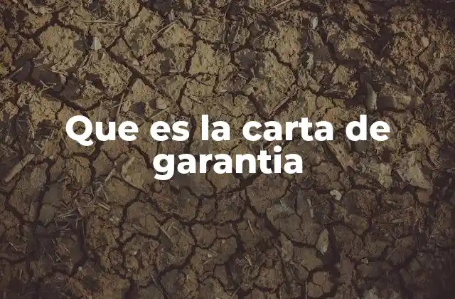 Que es la Carta de Garantia