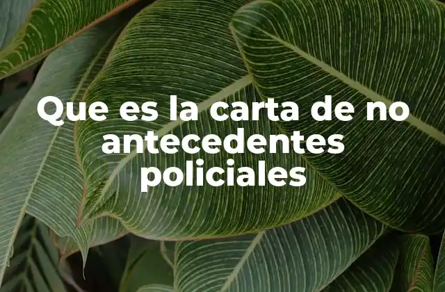 Que es la Carta de No Antecedentes Policiales