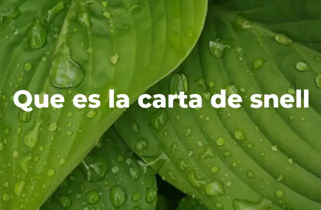 Que es la Carta de Snell