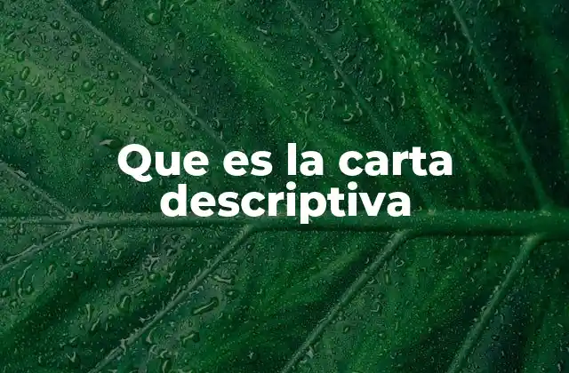 Que es la Carta Descriptiva 2 El rol de la descripción en la comunicación escrita