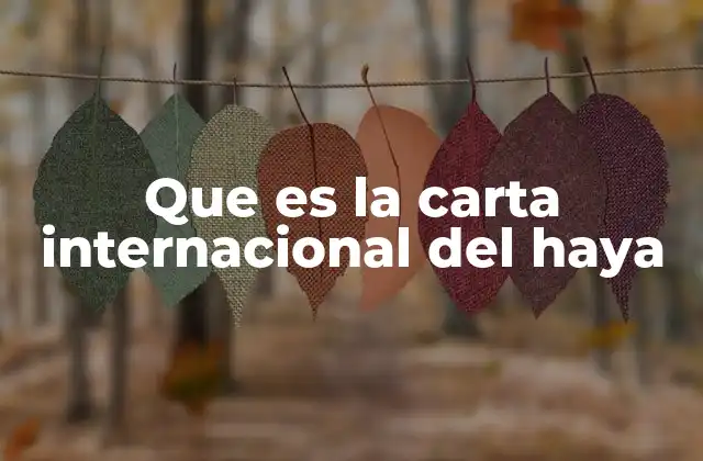 Que es la Carta Internacional Del Haya