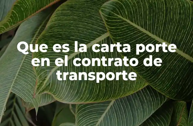 Que es la Carta Porte en el Contrato de Transporte