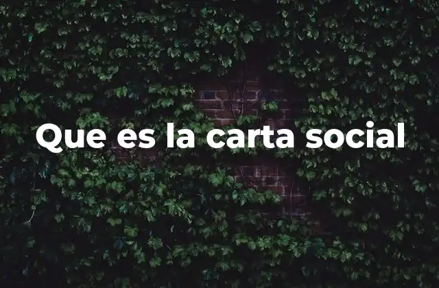 Que es la Carta Social