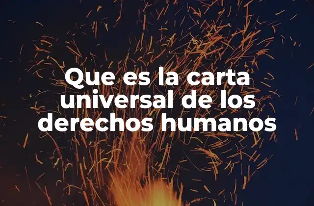 Que es la Carta Universal de los Derechos Humanos