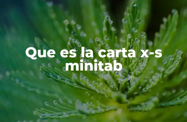 Que es la Carta X-s Minitab