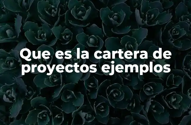 Que es la Cartera de Proyectos Ejemplos
