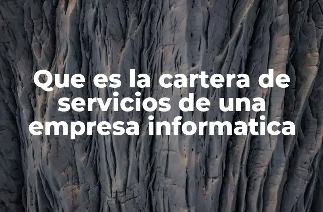 Que es la Cartera de Servicios de una Empresa Informatica