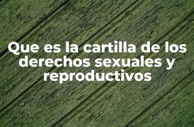 Que es la Cartilla de los Derechos Sexuales y Reproductivos