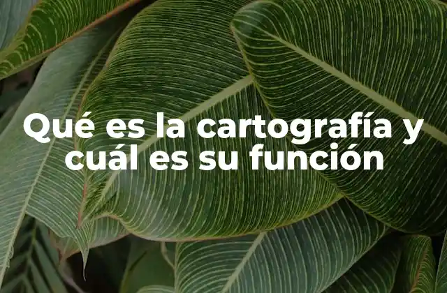 Qué es la Cartografía y Cuál es Su Función