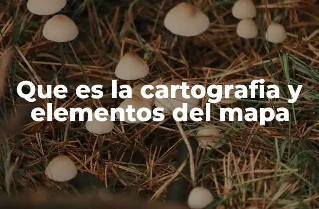 Que es la Cartografia y Elementos Del Mapa