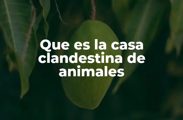 Que es la Casa Clandestina de Animales