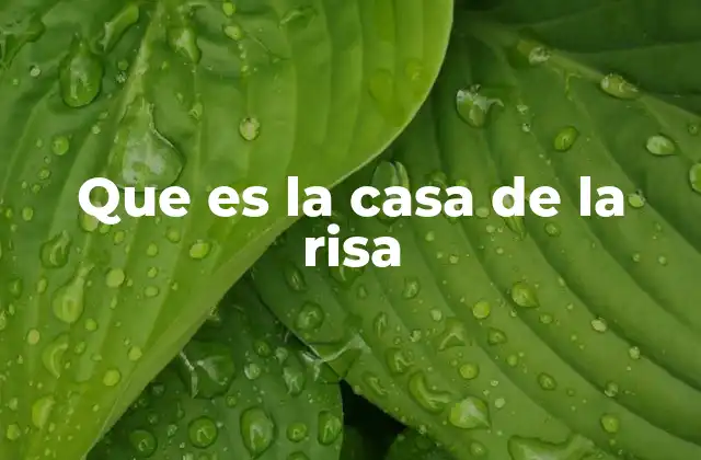 Que es la Casa de la Risa