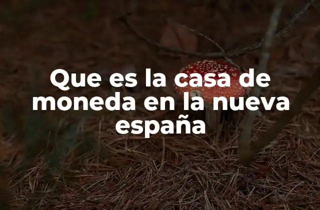 Que es la Casa de Moneda en la Nueva España 2 La importancia económica de la Casa de Moneda en la Nueva España