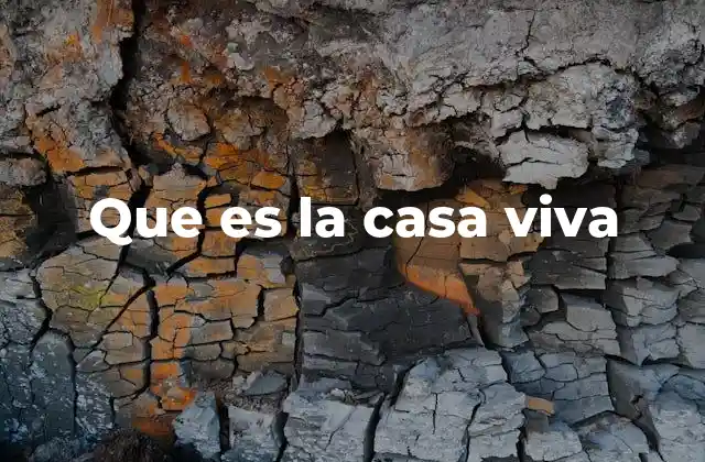 Que es la Casa Viva