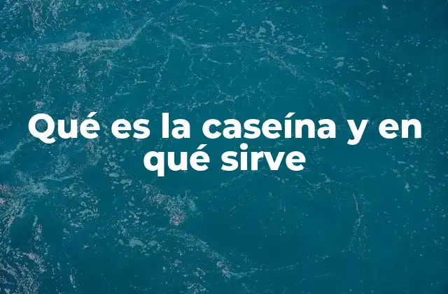 Qué es la Caseína y en Qué Sirve 2 La importancia de la caseína en la dieta humana
