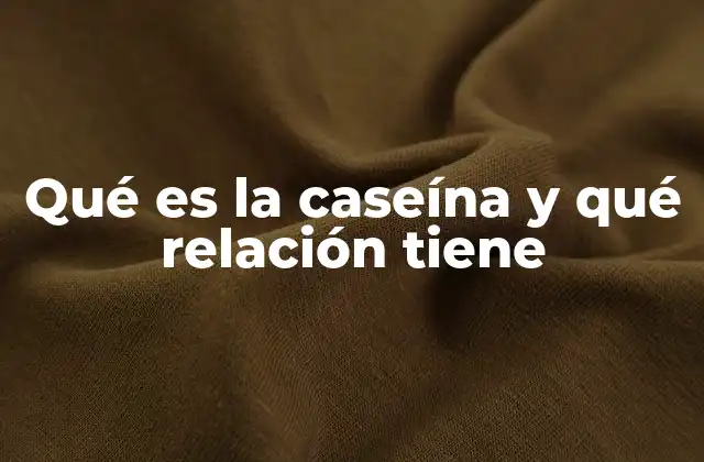 Qué es la Caseína y Qué Relación Tiene