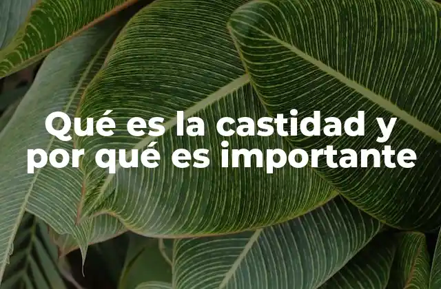 Qué es la Castidad y por Qué es Importante