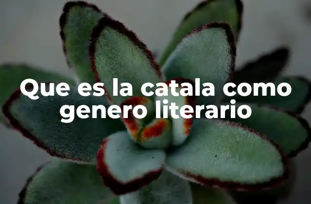 Que es la Catala como Genero Literario