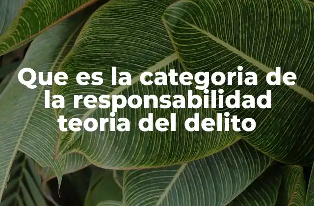 Que es la Categoria de la Responsabilidad Teoria Del Delito