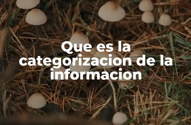 Que es la Categorizacion de la Informacion