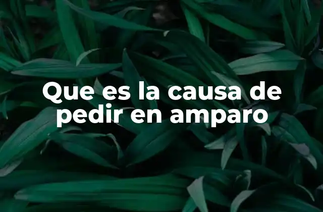 Que es la Causa de Pedir en Amparo