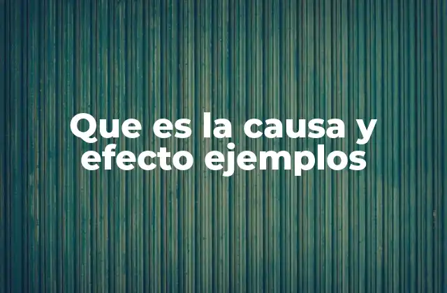 Que es la Causa y Efecto Ejemplos