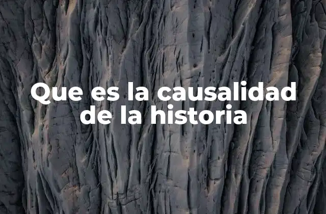 Que es la Causalidad de la Historia