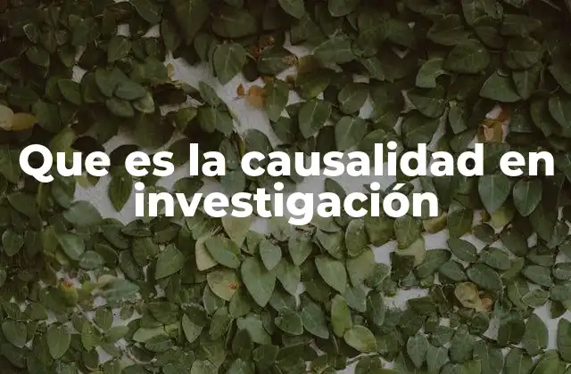 Que es la Causalidad en Investigación