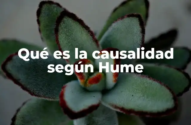 Qué es la Causalidad según Hume