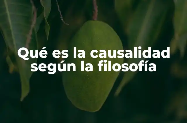 La importancia de entender las relaciones entre fenómenos