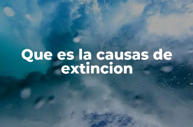 Que es la Causas de Extincion
