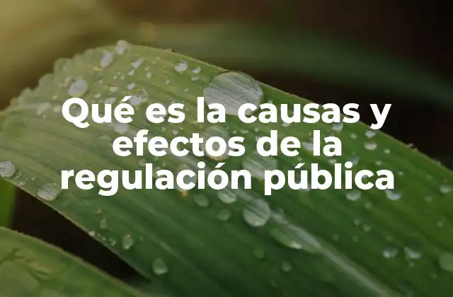 Qué es la Causas y Efectos de la Regulación Pública