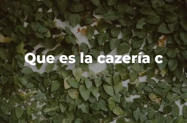 Que es la Cazería C