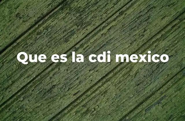 Que es la Cdi Mexico