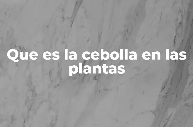 Que es la Cebolla en las Plantas