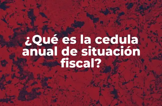 ¿qué es la Cedula Anual de Situación Fiscal?
