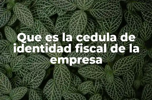 Identidad fiscal: el documento que define a una empresa