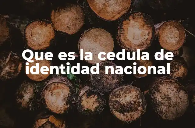 Que es la Cedula de Identidad Nacional