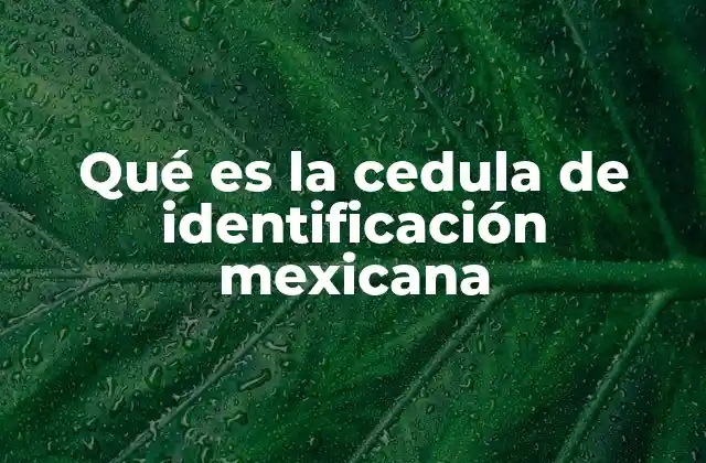 Qué es la Cedula de Identificación Mexicana