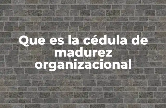 La importancia de evaluar el desarrollo organizacional