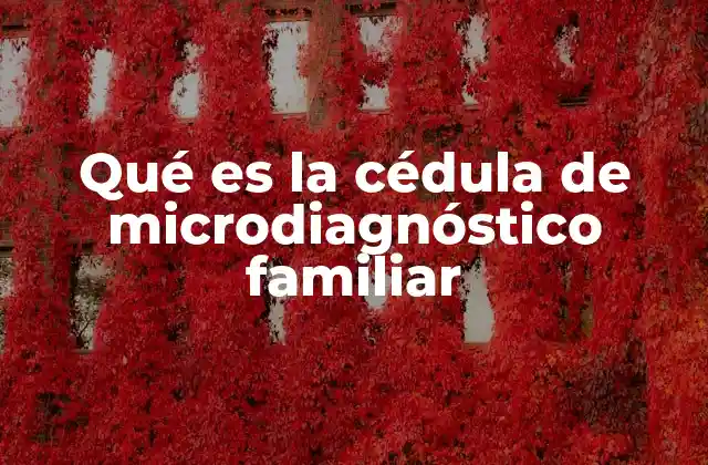 Qué es la Cédula de Microdiagnóstico Familiar
